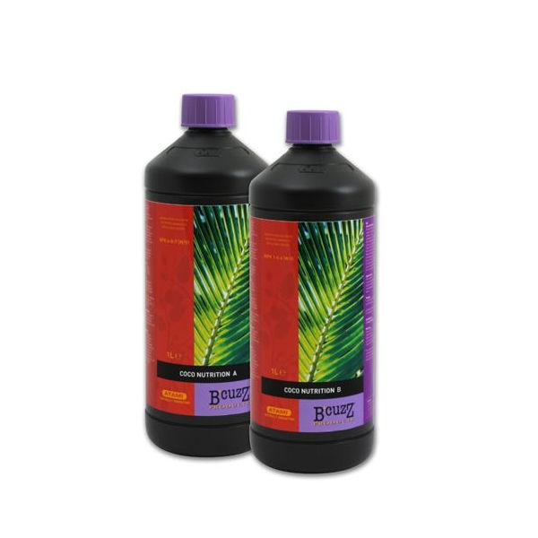 Coco A+B (este precio que pongo es para A y para B van independiente)