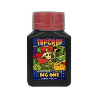 Big One