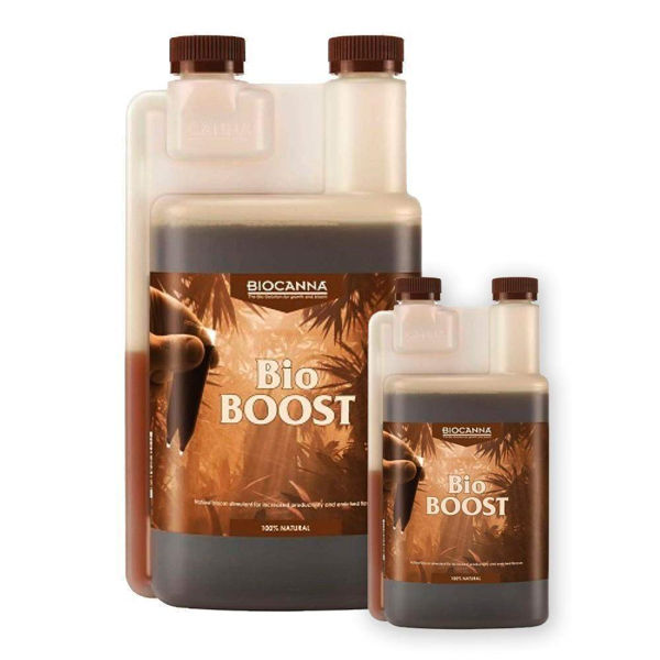 Bio Boost Accelerator