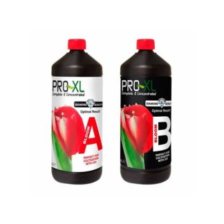 Bloom A+B