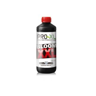 Bloom XXL