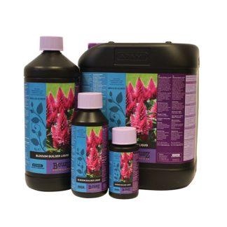 Blossom Builder Liquid
