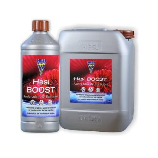HESI Boost