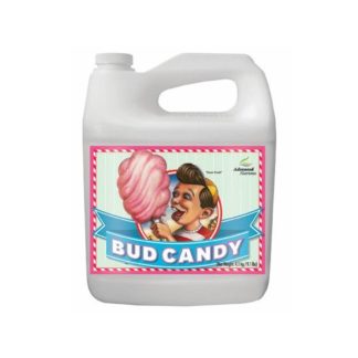 Bud Candy