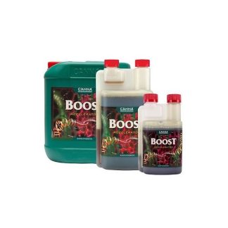 Boost Accelerator