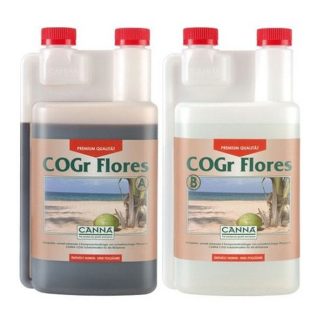 CoGr Flores A+B (este precio que pongo es para A y para B van independiente)