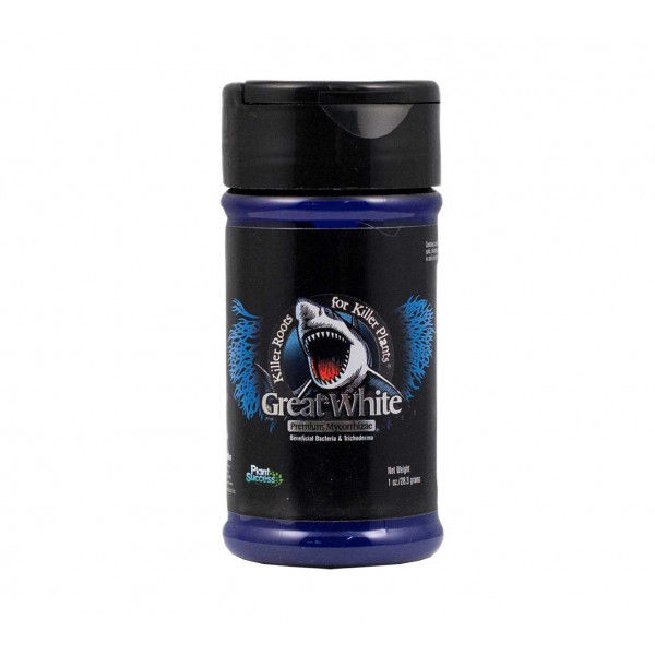 Great White