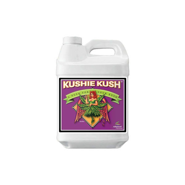 Kushie Kush