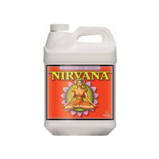 Nirvana