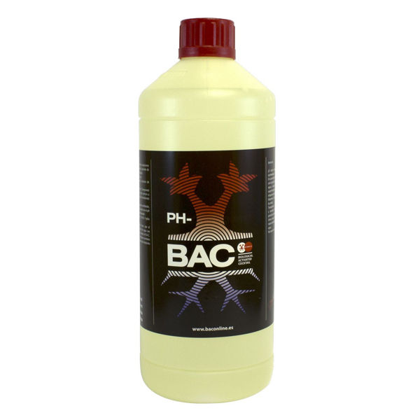 Ph Down BAC