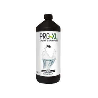 Ph + Pro XL