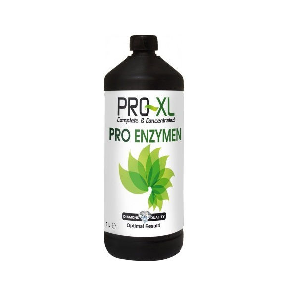Pro Enzyme