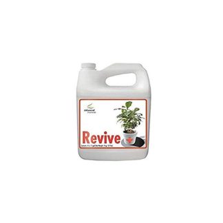 Revive