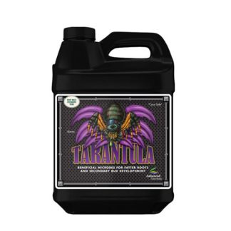 Tarántula