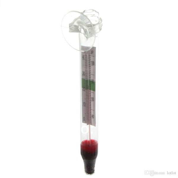 Termómetro agua con ventosa