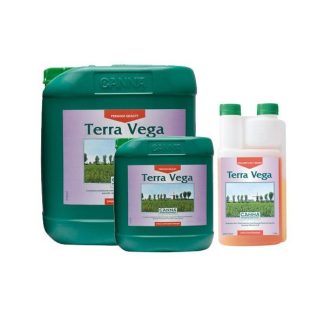 Terra Vega