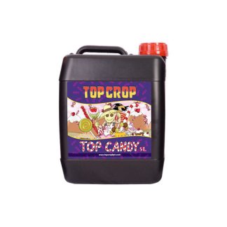 Top Candy