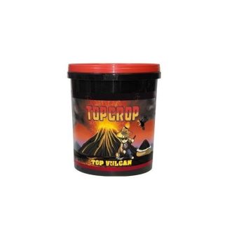 Top Vulcan