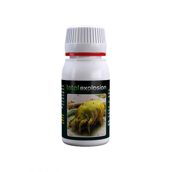 Total Explosion 60ml
